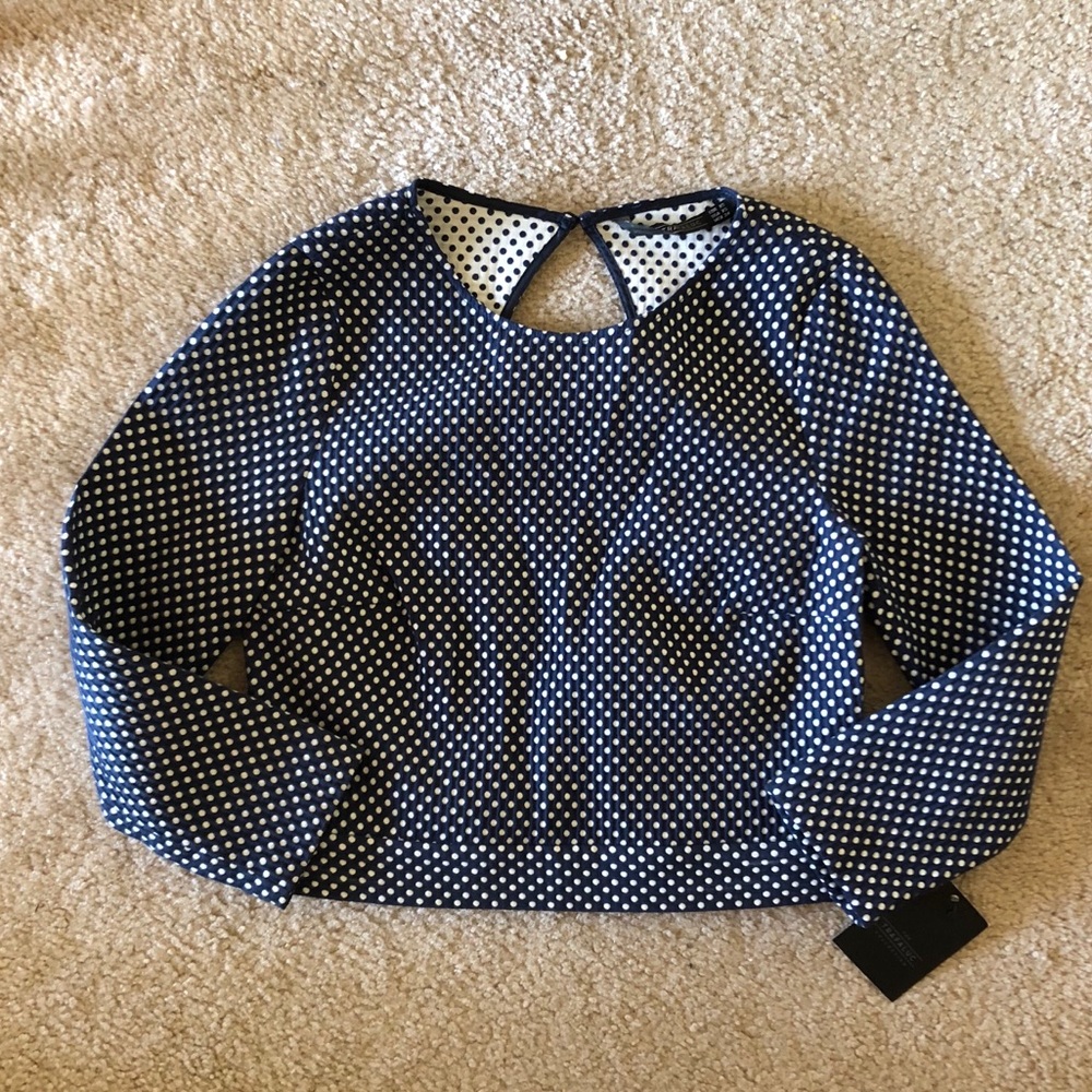 NWT Zara The Trafaluc Collection Crop Top